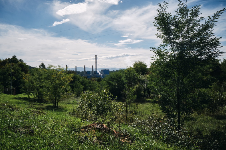 19-DSCF8065.jpg