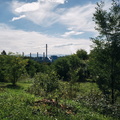 19-DSCF8065